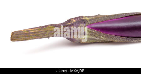 Aubergine, longtemps un cultivar d'Asie, close-up de la tige, isolated on white Banque D'Images