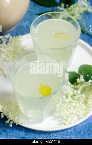 Sokata froide - une boisson traditionnelle roumaine faite à partir des fleurs de sureau et citron, produit par fermentation. Banque D'Images