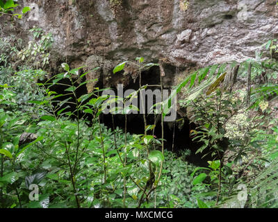 L'entrée d'une grotte dans le Trou Bleu Parc National en Amérique centrale Belize im Banque D'Images