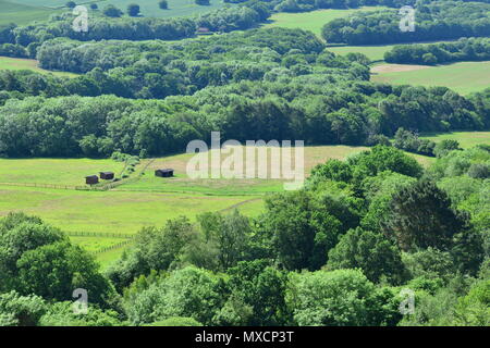 En regardant la campagne du Sussex de Leith Hill dans le Surrey. Banque D'Images