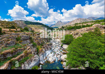 Stream et de montagne en Corse, France au printemps Banque D'Images