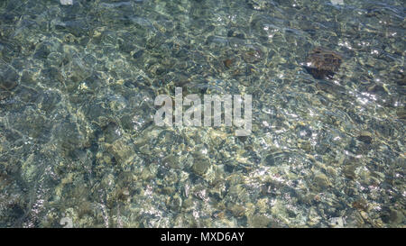 Crystal Clear sea water background bleu peu profondes, des cailloux sur le fond marin Banque D'Images