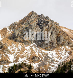 Vue sur le Massif de la montagne de Sancy. L'Auvergne. France Banque D'Images