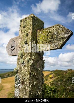 Un lichen, couverts National Trails enseigne sur le chemin de la côte du Pembrokeshire au Pays de Galles Banque D'Images