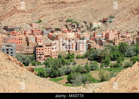 Tinerhir (Tinghir) , Gorges de Todra Vallée, Maroc Banque D'Images