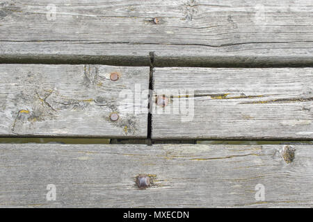 Planche en bois avec des clous rouillés vieux martelée dans eux Banque D'Images