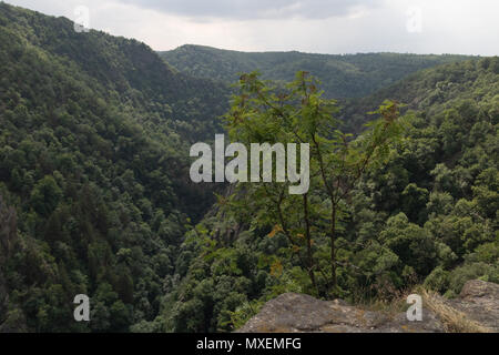 Vue depuis le dans la Gorge de Bode Roßtrappe, Basse-Saxe, Saxe-Anhalt, Allemagne, Europe Centrale Banque D'Images