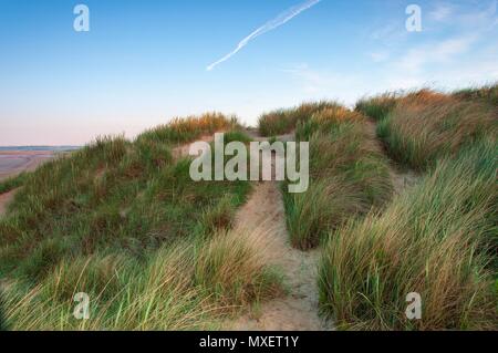 Dunes de sable sur un matin d'été au lever du soleil Banque D'Images