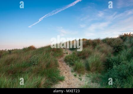 Un chemin de sable qui traverse l'herbe sur une dune de sable dans le sud de l'Angleterre Banque D'Images