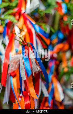 Un arbre des désirs. Les rubans de couleurs différentes sont liées, dans les branches. Chaque ruban de couleur signifie différents souhaits. Banque D'Images