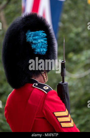 Garde royale soldat en uniforme rouge et noir avec bearskin hat se tient à l'attention dans le centre commercial pendant la parade la parade militaire de couleur, Londres UK Banque D'Images