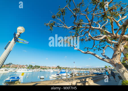 Bateaux dans Balboa Island Banque D'Images