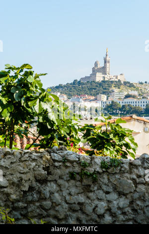 Vue sur la Basilique de Notre-Dame de la Garde à Marseille, situé sur le sommet d'une colline de 150 mètres de haut à droite dans la ville, avec un figuier et une pierre Banque D'Images