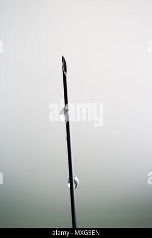 Pour la seringue aiguille médicale avec des gouttes de la médecine close up macro photo Banque D'Images