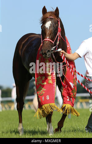 Fuchu, Tokyo, Japon. 3 juin, 2018. Mozu Ascot Ascot Course de Chevaux : Mozu après avoir remporté le Yasuda Kinen à Hippodrome de Tokyo à Fuchu, Tokyo, Japon . Credit : Yoshifumi Nakahara/AFLO/Alamy Live News Banque D'Images