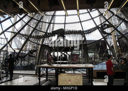 02 juin 2018, France, Paris : le squelette d'un dinosaure théropode avant le début d'une enchère sur la Tour Eiffel. Les 8, 7 mètres de long skeletion dinosaure a été découvert dans l'État américain du Wyoming avec les données de la Française maison d'enchères Aguttes. Le prix estimé se situe entre 1, 2 et 1, 8 millions d'euros. Photo : Pol O Gradaigh/dpa Banque D'Images