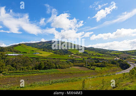 Le paysage pittoresque de l'île de São Miguel sur les Açores, Portugal. Collines avec vue panoramique, pâturages et forêts de la plus grande île volcanique sous Banque D'Images