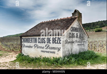 GEVREY-CHAMBERTIN, FRANCE - 22 avril 2018 : un petit bâtiment de ferme se trouve au milieu du vignoble de Bourgogne Grand Cru Clos de Bèze. Banque D'Images