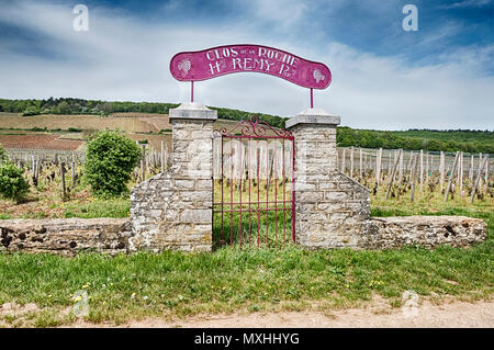 MOREY-ST. DENIS, FRANCE - Le 23 avril 2018 : une porte en pierre avec un signe violet met en valeur la Clos de la Roche grand cru vineyard près de Morey-St. Denis. Banque D'Images