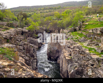 Río Lozoya. Lozoya. Zona periférica de protección del Parque Nacional de la Sierra de Guadarrama. Madrid. España Banque D'Images