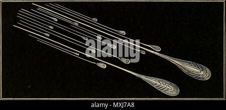"Éléments d'astronomie : accompagné de nombreuses illustrations, une représentation en couleur de l'énergie solaire, et les spectres stellaires, nébulaire, et les cartes de la céleste et du nord de l'hémisphère sud' (1875) Banque D'Images