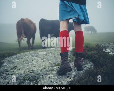 Une jeune femme portant des chaussettes et chaussures de marche sur la lande dans la brume près de quelques vaches Banque D'Images