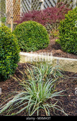 Coin de belle, paysagé, jardin privé frontière avec un design contemporain, d'arbustes, fort des balles, acer & herbes ornementales - Yorkshire, Angleterre, Royaume-Uni Banque D'Images