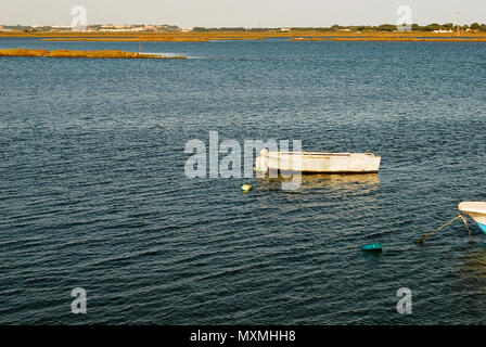 La beauté de la 'MARISMAS' d'Isla Cristina à Huelva, des terres que les inondations avec la marée haute de l'Océan Atlantique Banque D'Images