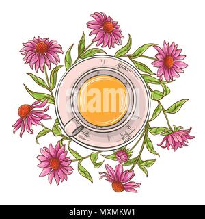 Tasse de thé échinacée illustration sur fond blanc Illustration de Vecteur