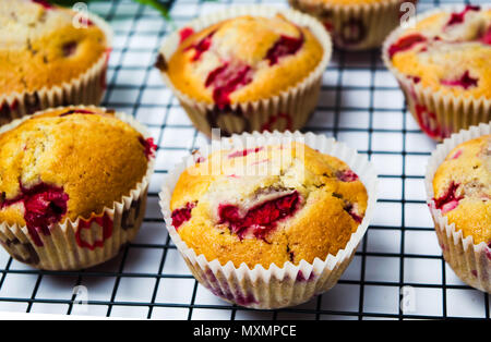 Muffins fruits fraise fait maison dans les titulaires de papier Banque D'Images