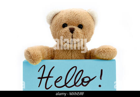 Ours en peluche brun tenant avec les deux mains une note en bleu avec le message manuscrit "Bonjour !" en tant que concept signe de bienvenue. Photo isolé dans une se Banque D'Images