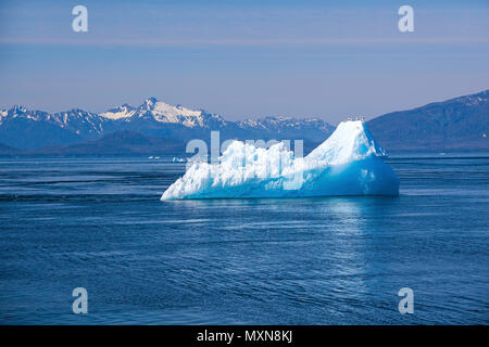 Eisscholle suis Sawyer Gletscher, fjord Tracy Arm, Alaska, USA, Nordpazifik | banc de glace au glacier Sawyer, fjord Tracy Arm, en Alaska, le Pacifique Nord, USA Banque D'Images