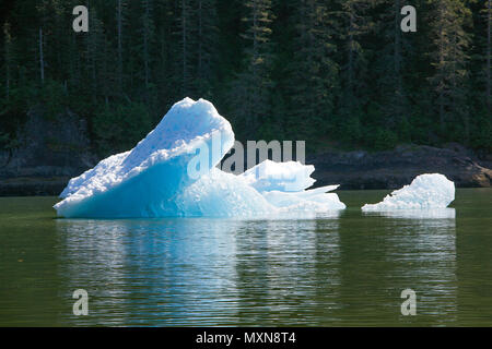 Eisscholle suis Sawyer Gletscher, fjord Tracy Arm, Alaska, USA, Nordpazifik | banc de glace au glacier Sawyer, fjord Tracy Arm, en Alaska, le Pacifique Nord, USA Banque D'Images