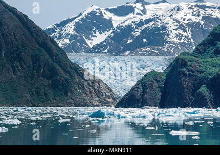 Sawyer Gletscher am fjord Tracy Arm, Alaska, USA, Nordpazifik | Sawyer glacier à fjord Tracy Arm, en Alaska, le Pacifique Nord, USA Banque D'Images