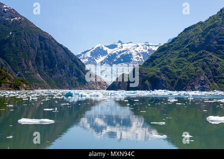 Sawyer Gletscher am fjord Tracy Arm, Alaska, USA, Nordpazifik | Sawyer glacier à fjord Tracy Arm, en Alaska, le Pacifique Nord, USA Banque D'Images