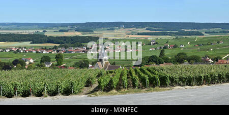 Villedommange (nord-est de la France). Paysage rural et vignobles qui entourent le village de Champagne Banque D'Images