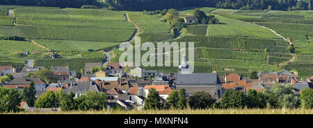 Cumieres (nord-est de la France). Paysage rural et vignoble de Champagne entourant le village situé sur la rive droite de la Marne, à la Banque D'Images