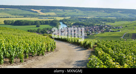 Cumieres (nord-est de la France). Paysage rural et vignoble de Champagne entourant le village situé sur la rive droite de la Marne, à la Banque D'Images