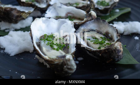 Canapés : huîtres fraîches garnies de petits oignons et de sel de roche Banque D'Images