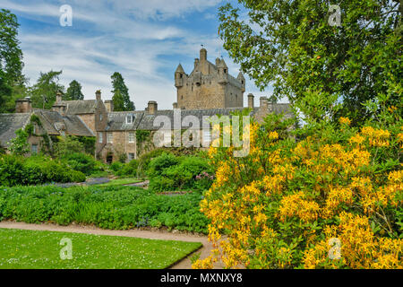 Le CHÂTEAU DE CAWDOR NAIRN ECOSSE JARDIN LE BÂTIMENT ET LA TOUR JAUNE AVEC DES FLEURS D'azalées Banque D'Images