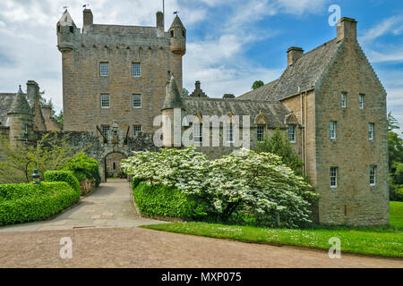 Le CHÂTEAU DE CAWDOR ECOSSE NAIRN LE BÂTIMENT PRINCIPAL BRIDGE ET TOUR ARBUSTE À FLEURS BLANCHES AU PRINTEMPS Banque D'Images