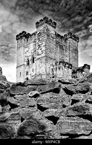 Newcastle sur Tyne Castle Garth Banque D'Images