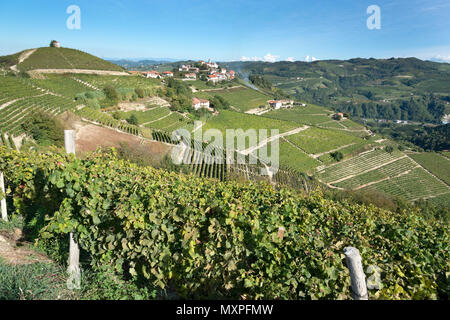 L'Italie, panorama de vignobles du Piémont : Langhe-Roero et Monferrato sur la Liste du patrimoine mondial de l'UNESCO.Voir l'Italie, Piémont, Camo Vieneyards Banque D'Images