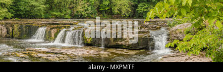 Panorama d'Upper Falls, Aysgarth, Wensleydale, Yorkshire Dales National Park, Royaume-Uni à la fin du printemps avec de très faibles niveaux d'eau Banque D'Images