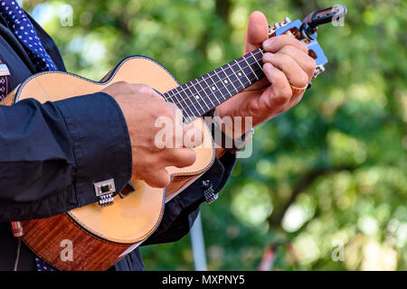 Live performance musicale de musique populaire brésilienne appelée chorinho avec peu de guitare acoustique à quatre cordes Banque D'Images