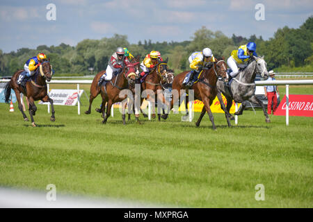 Course de chevaux Baden-Baden, 2 juin 2018, l'événement printanier de Baden, courses de chevaux qui courent et les combats dans le cours, faire du sport Welt Amateur-Trophy Banque D'Images