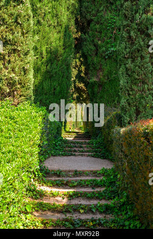 Lloret de mar Espagne - 11 Avril 2017 : escalier couverte de lierre dans les jardins Santa Clotilde à Lloret de Mar. Banque D'Images