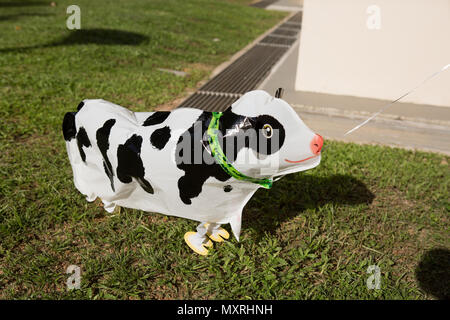 Ballon flottant de vache noire et blanche avec conception de jambes. Banque D'Images