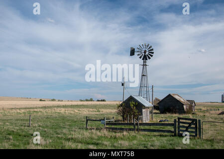 Prairie abandonnée ferme près de Carseland (Alberta), Canada. Banque D'Images