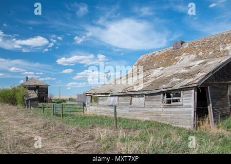 Prairie abandonnée ferme près de Carseland (Alberta), Canada. Banque D'Images